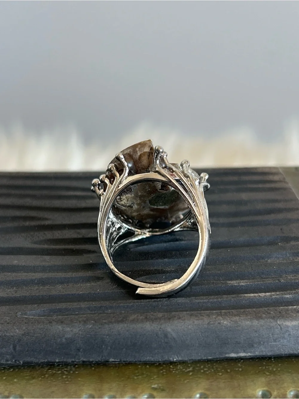 Handcrafted Brown Ammonite Shell Ring in Silver Setting